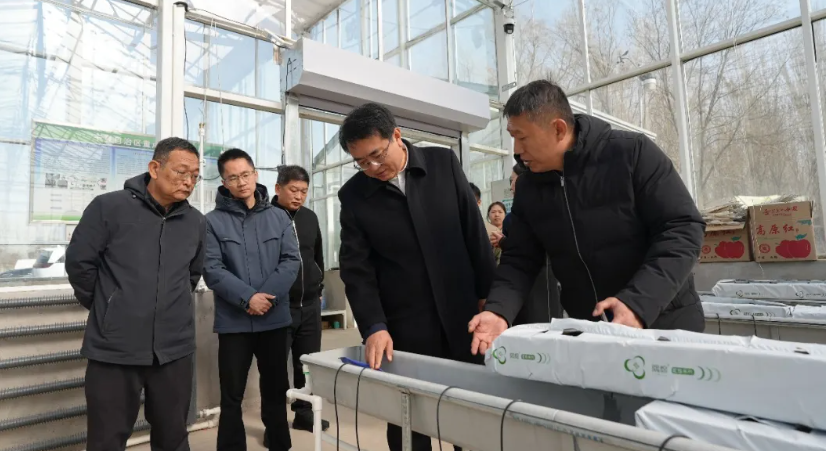 苏焕喜调研督导农业高质量发展和春耕备耕工作