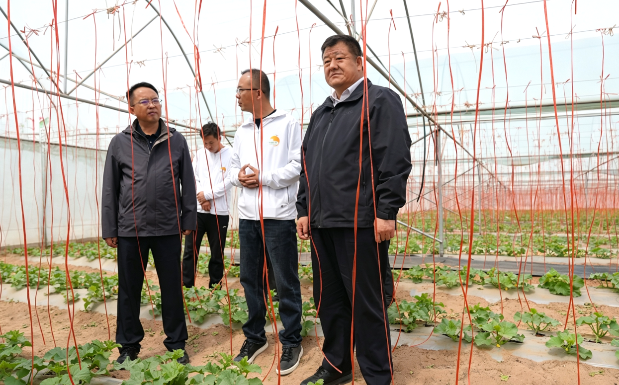邵中宏调研月牙湖乡树立和践行正确政绩观学习教育及产业振兴等工作